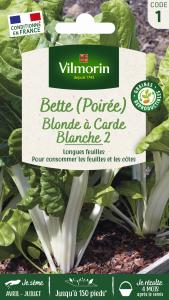 Poirée Blonde à Carde Blanche 2